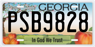 GA license plate PSB9828