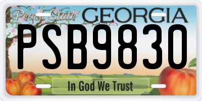 GA license plate PSB9830