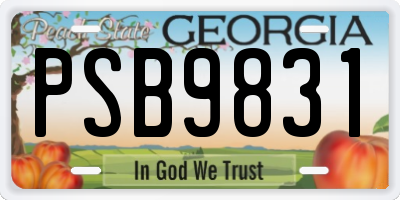 GA license plate PSB9831