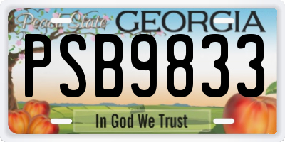 GA license plate PSB9833