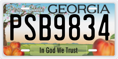 GA license plate PSB9834