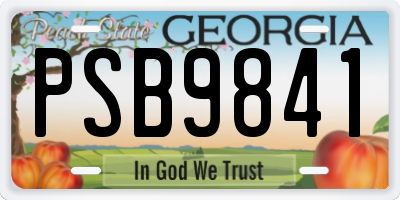 GA license plate PSB9841