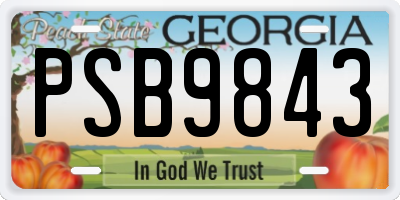 GA license plate PSB9843