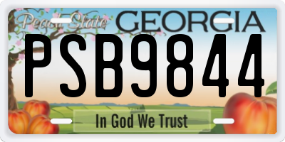 GA license plate PSB9844