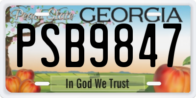 GA license plate PSB9847