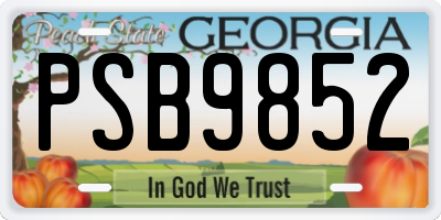 GA license plate PSB9852