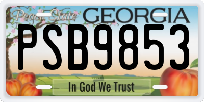 GA license plate PSB9853