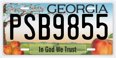 GA license plate PSB9855