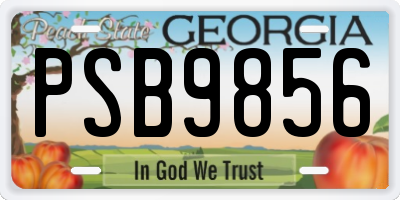 GA license plate PSB9856
