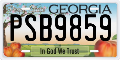 GA license plate PSB9859