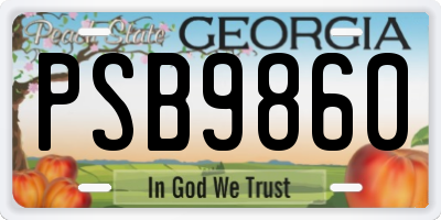 GA license plate PSB9860