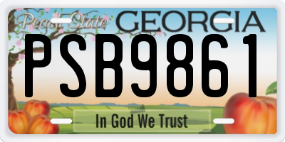 GA license plate PSB9861