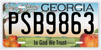 GA license plate PSB9863
