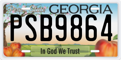 GA license plate PSB9864