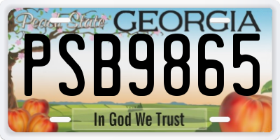 GA license plate PSB9865