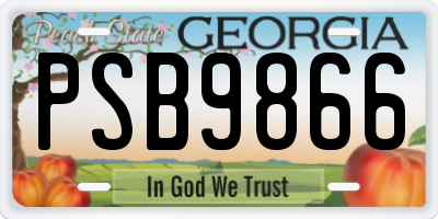 GA license plate PSB9866