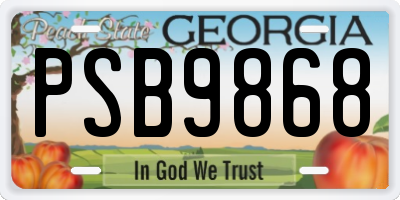 GA license plate PSB9868