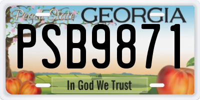 GA license plate PSB9871