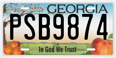GA license plate PSB9874