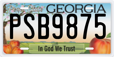 GA license plate PSB9875