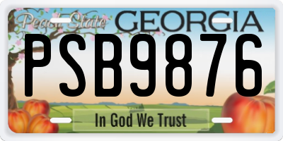 GA license plate PSB9876