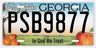 GA license plate PSB9877