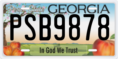 GA license plate PSB9878