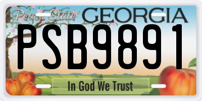 GA license plate PSB9891
