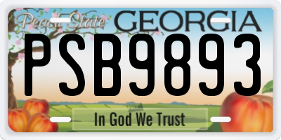 GA license plate PSB9893