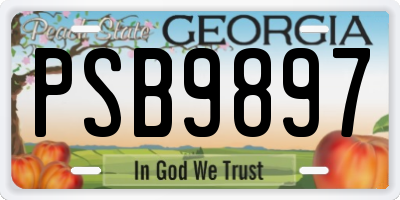 GA license plate PSB9897