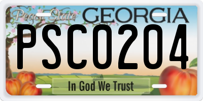 GA license plate PSC0204