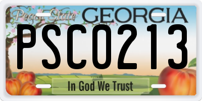 GA license plate PSC0213