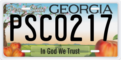 GA license plate PSC0217
