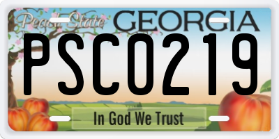 GA license plate PSC0219