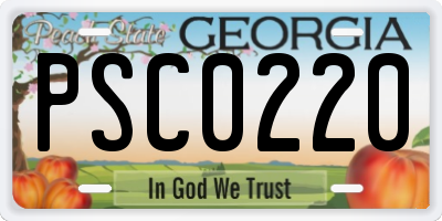 GA license plate PSC0220
