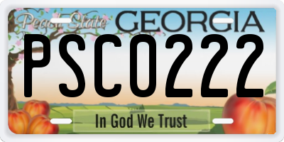 GA license plate PSC0222