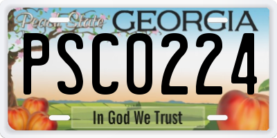 GA license plate PSC0224