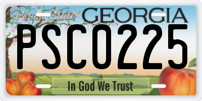 GA license plate PSC0225