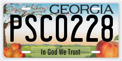 GA license plate PSC0228