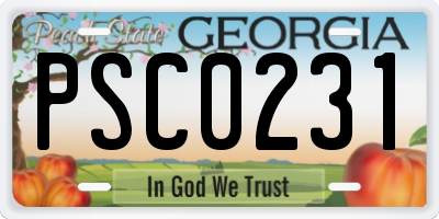 GA license plate PSC0231