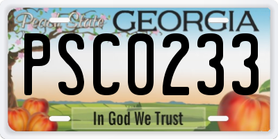 GA license plate PSC0233