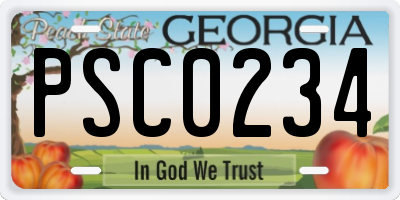 GA license plate PSC0234