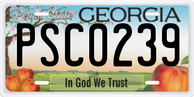 GA license plate PSC0239