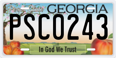 GA license plate PSC0243
