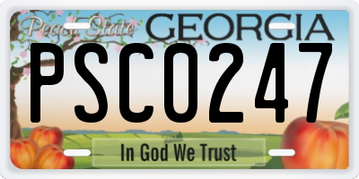 GA license plate PSC0247