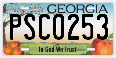 GA license plate PSC0253
