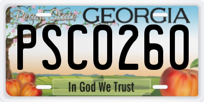 GA license plate PSC0260
