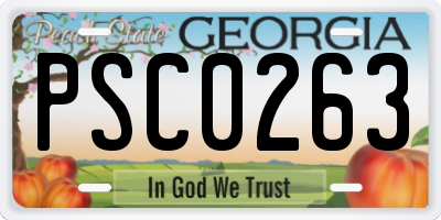 GA license plate PSC0263
