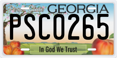 GA license plate PSC0265