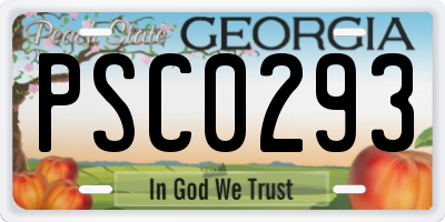 GA license plate PSC0293